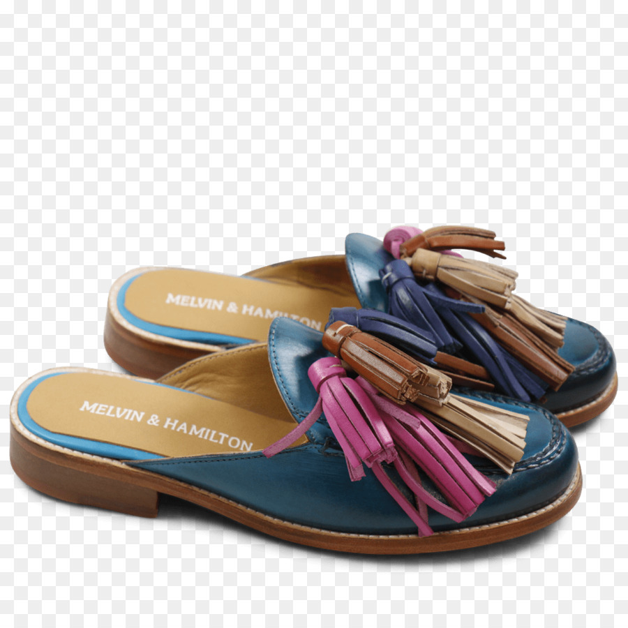 Chanclas，Zapatilla PNG