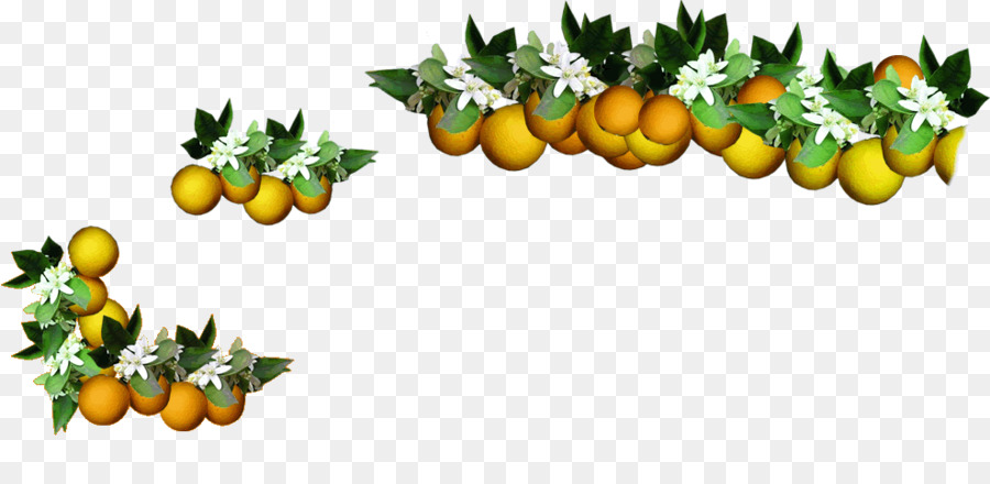 Naranja，La Comida PNG