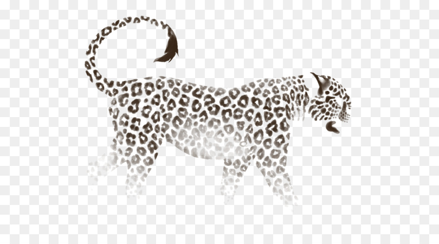 Leopardo，Jaguar PNG