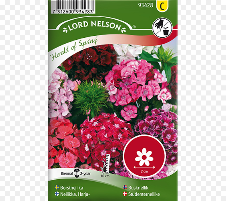 Sweet William，La Semilla PNG