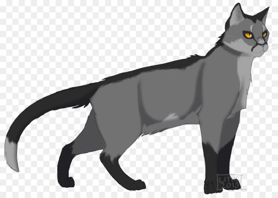 Gato Negro，Gatito PNG