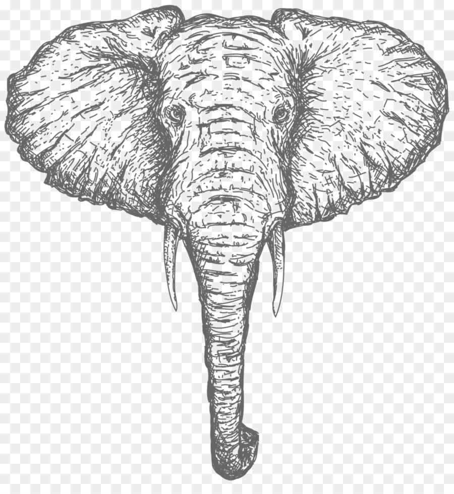 Elefante，Fauna PNG