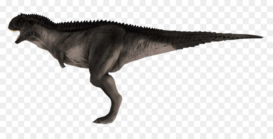 Tyrannosaurus，Acrocanthosaurus PNG