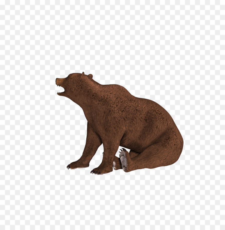 Grizzly Bear，Arte Digital PNG