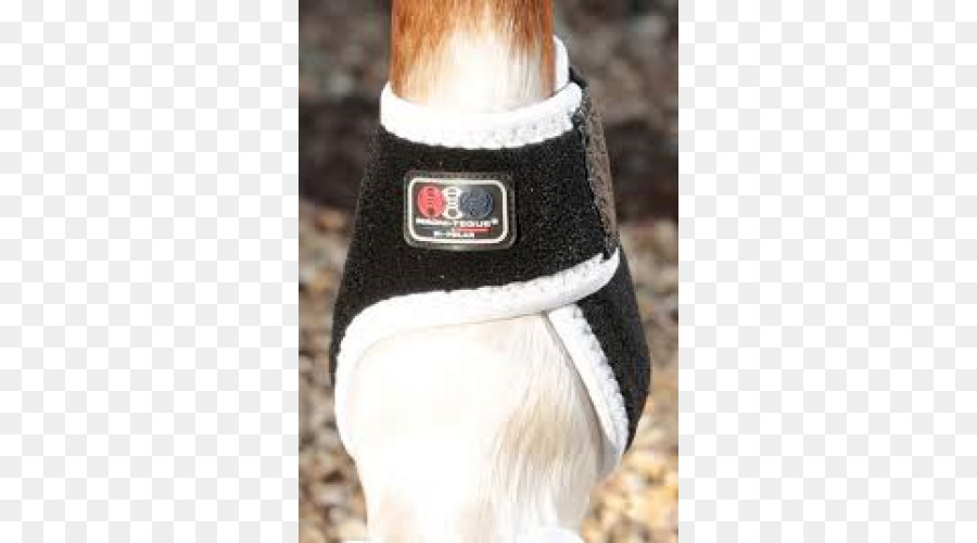 Vendas Para Patas De Caballo，Caballo PNG