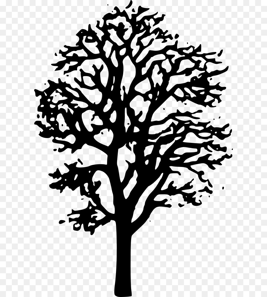 Arce Japonés，Árbol PNG