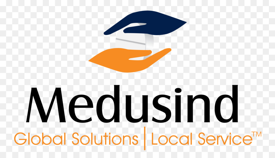 Medusind Soluciones，Negocio PNG