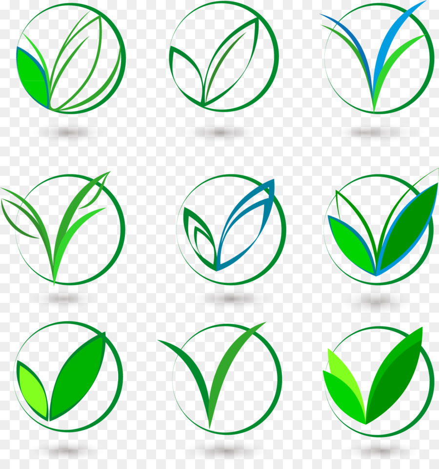 Iconos De Hoja，Hoja PNG