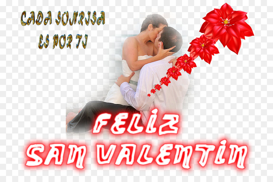 Amar，Enamorarse PNG