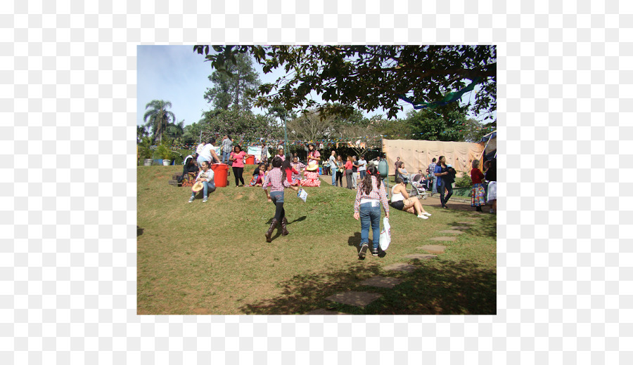 Picnic，Caminar PNG