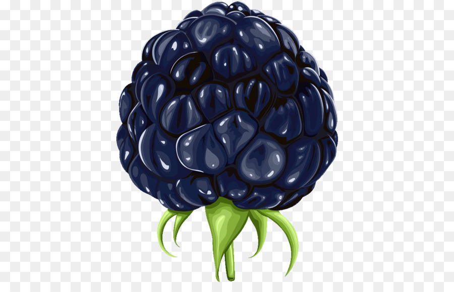 Blackberry，Dibujo PNG