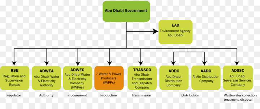 Organización，Diagrama PNG