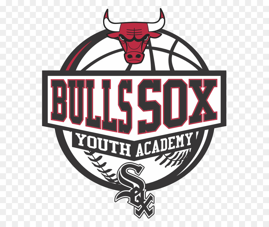 Chicago Bulls，Bullssox Academia Juvenil PNG