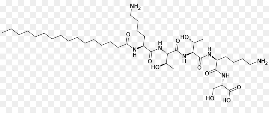 Palmitoil Pentapeptide4，Negocio PNG