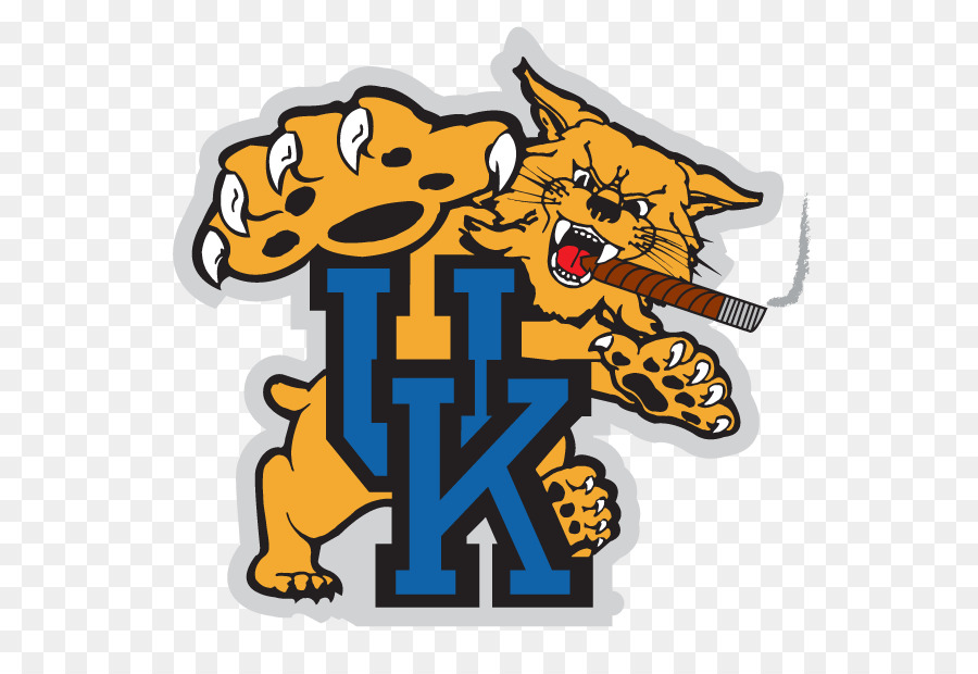 La Universidad De Kentucky，Kentucky Wildcats Fútbol PNG