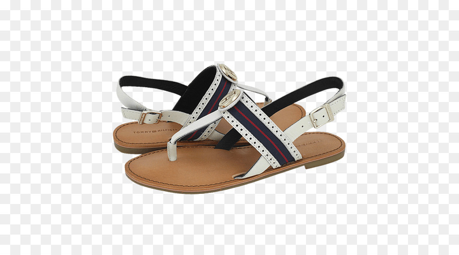 Chanclas，Deslice PNG