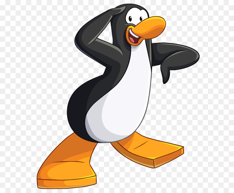 Pingüino，Pájaro PNG