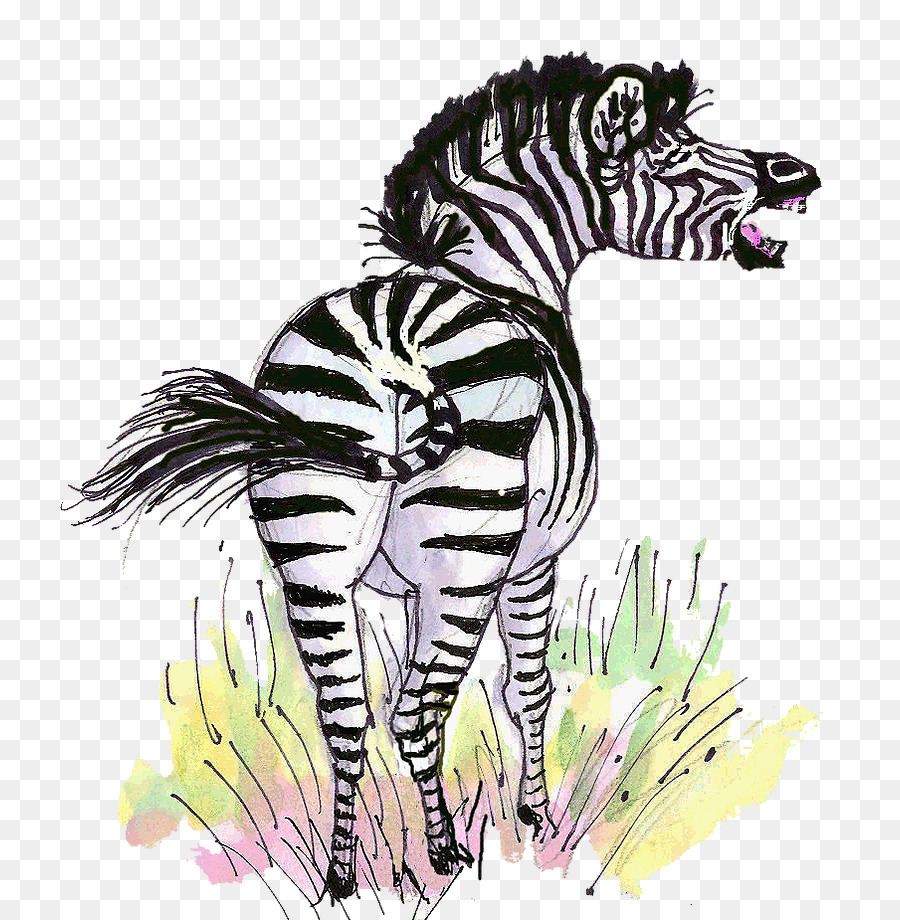 Tigre，Quagga PNG