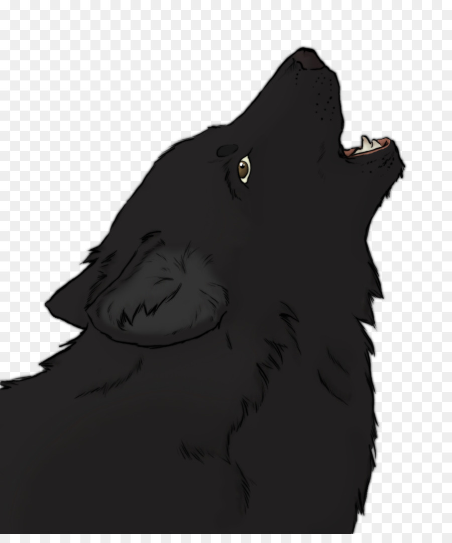 Canidae，Perro PNG