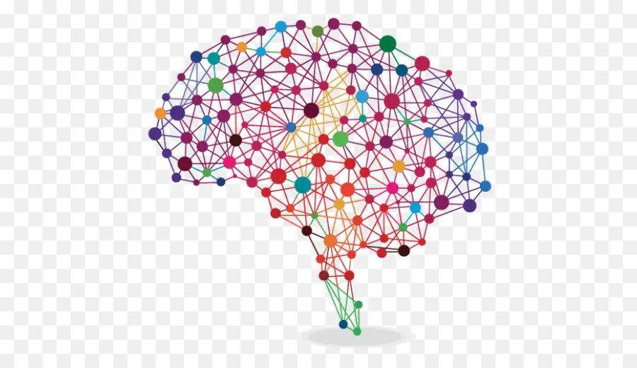 Cerebro，Cerebro Humano PNG