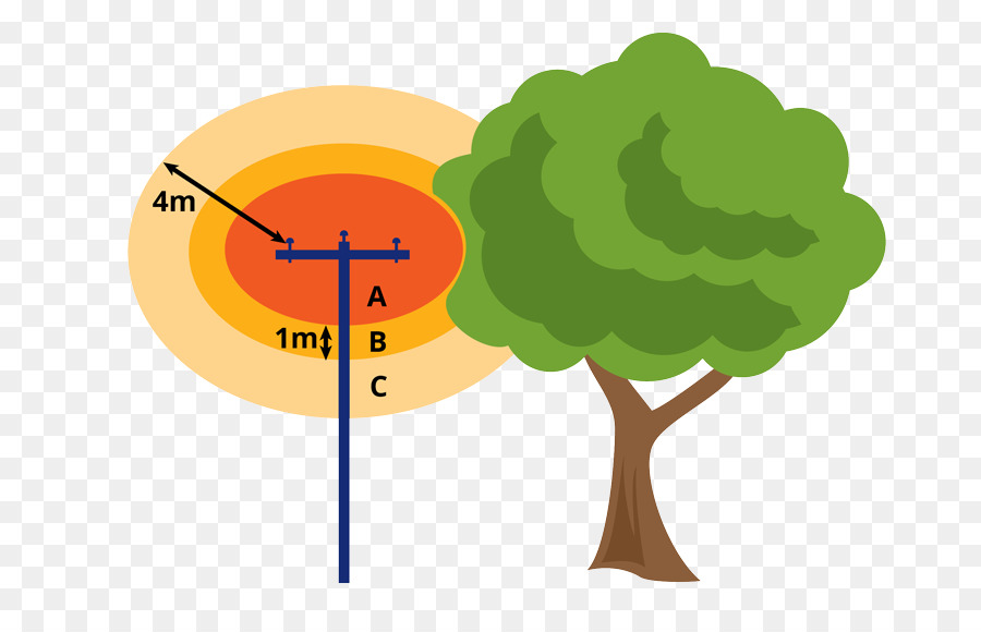 Árbol，Diagrama De PNG