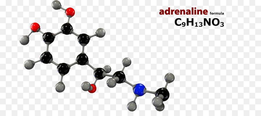 Dopamina，La Molécula De PNG
