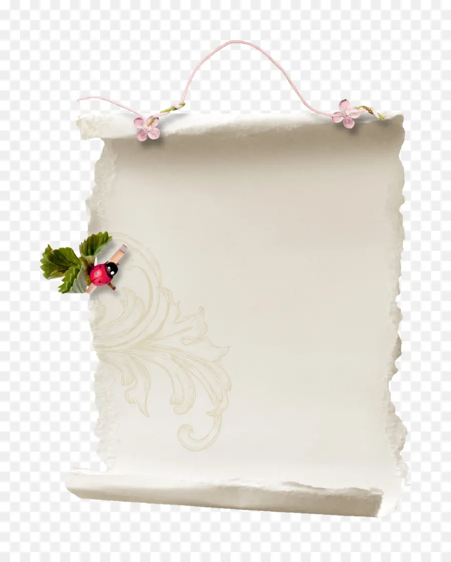 Rollo Decorativo，Papel PNG