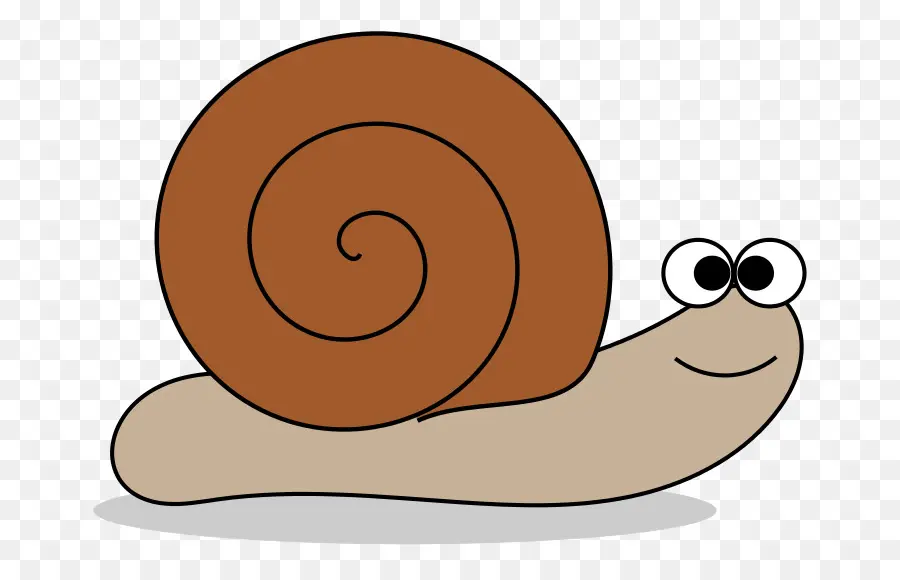 Caracol，Caracol De Mar PNG