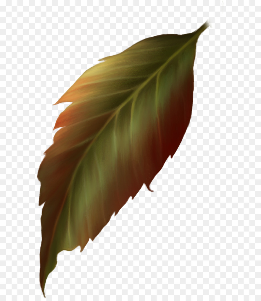 Hoja，Verde PNG