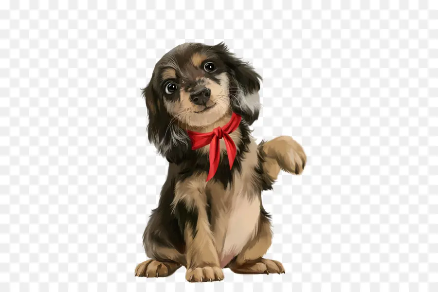 Lindo Cachorro，Perro PNG