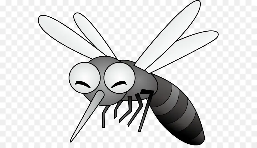 Mosquito，Bicho PNG