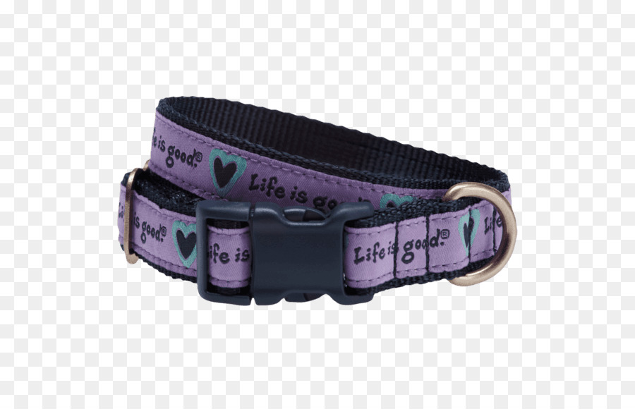 Perro，Collar De Perro PNG