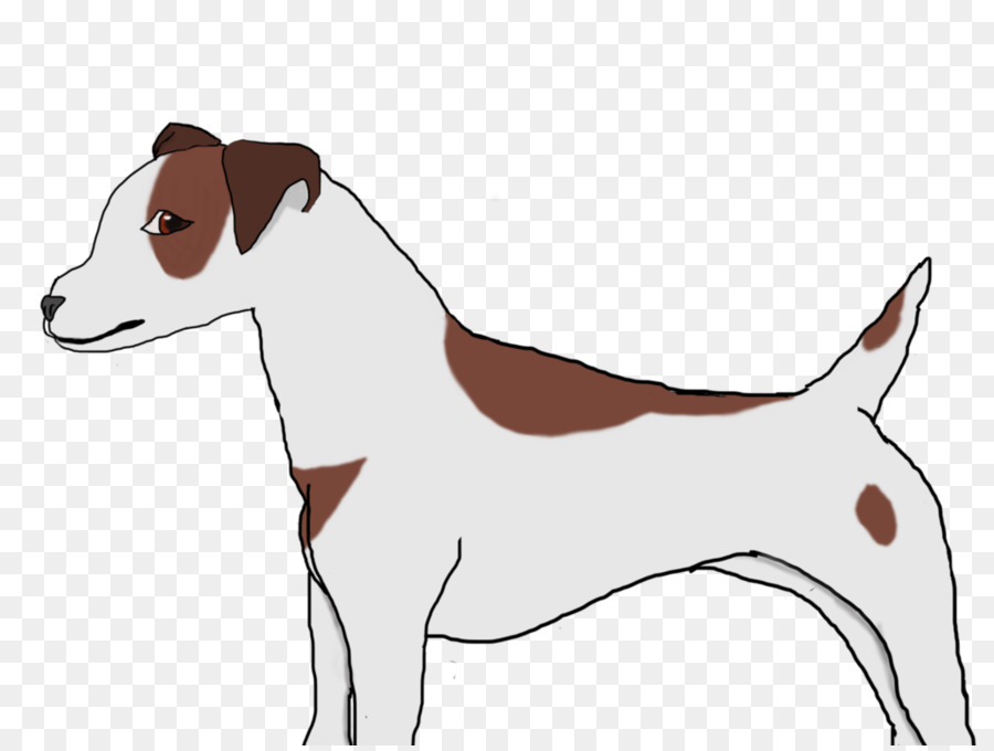 Raza De Perro，Russell Terrier PNG