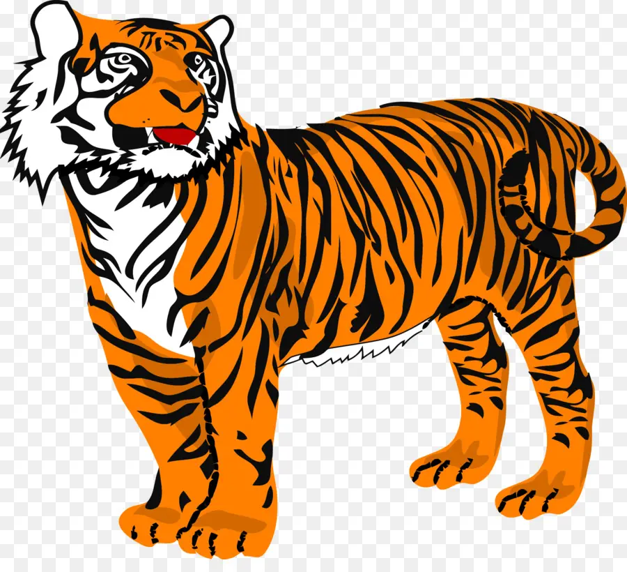 Tigre，Rayas PNG