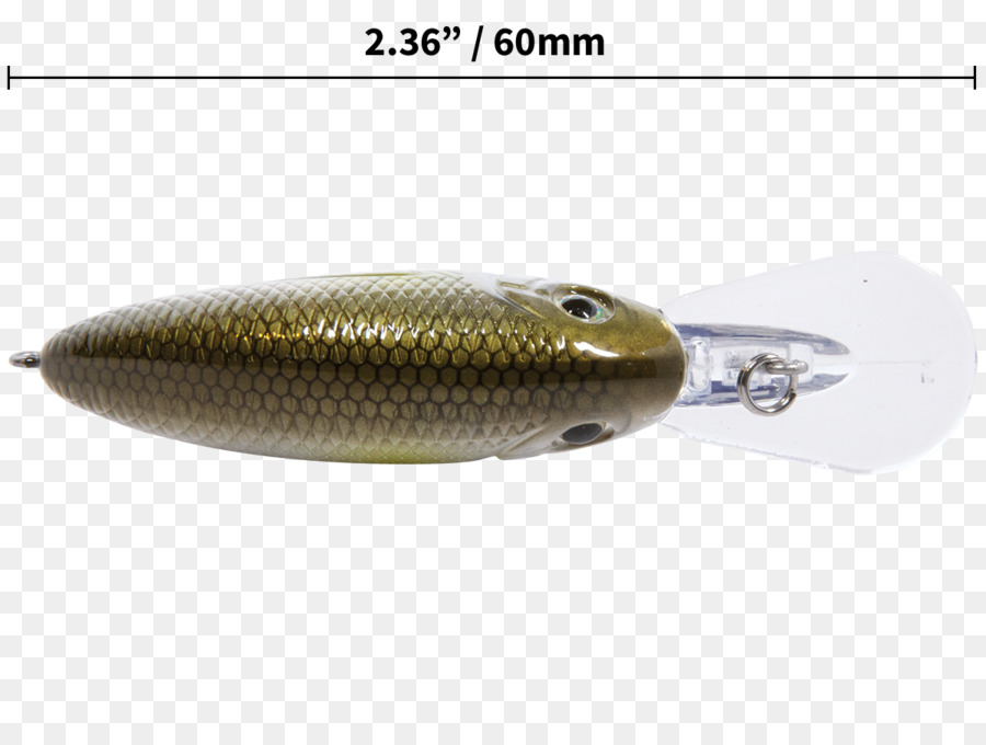 Cuchara Señuelo，Los Peces PNG