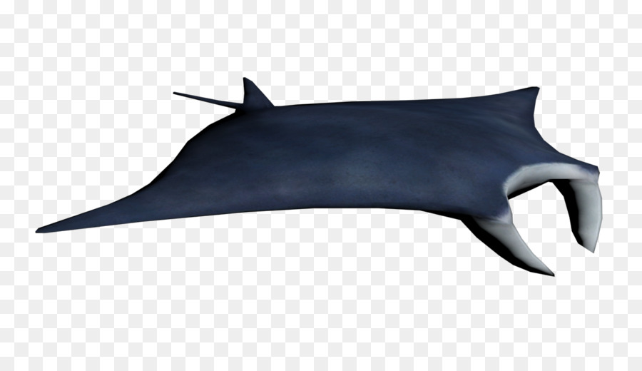 Gigante Oceánico Manta Ray，Myliobatoidei PNG