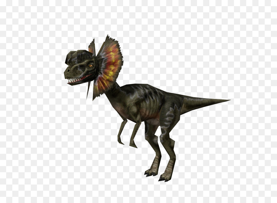 Velociraptor，Tyrannosaurus PNG