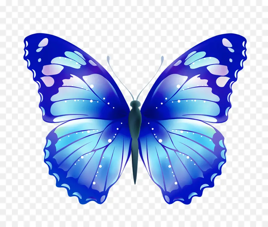 Mariposa，Dibujo PNG