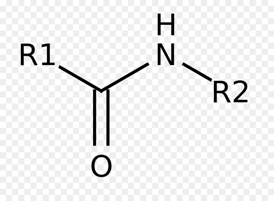 Estructura Química，Molécula PNG