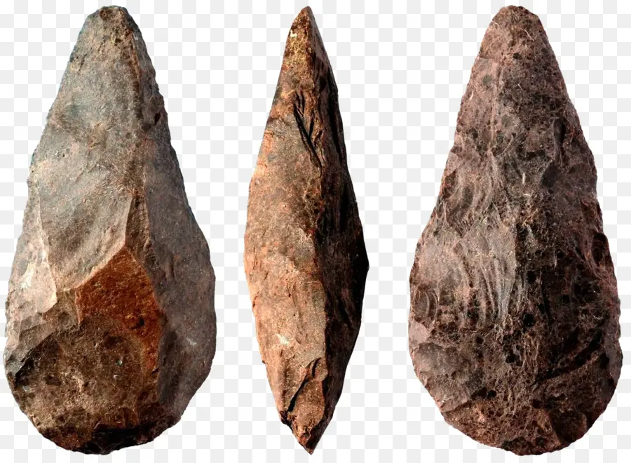 Paleolítico，De La Edad De Piedra PNG