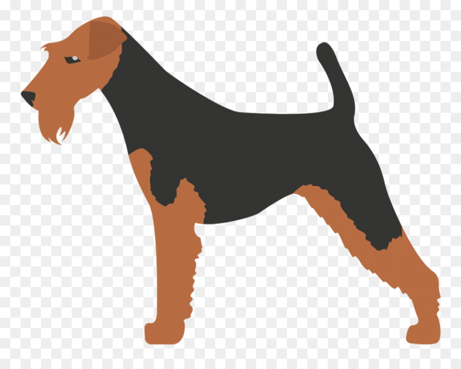 Kerry Blue Terrier，Scottish Terrier PNG