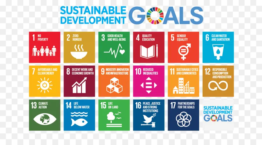 Los Objetivos De Desarrollo Sostenible，Objetivos De Desarrollo Del Milenio PNG