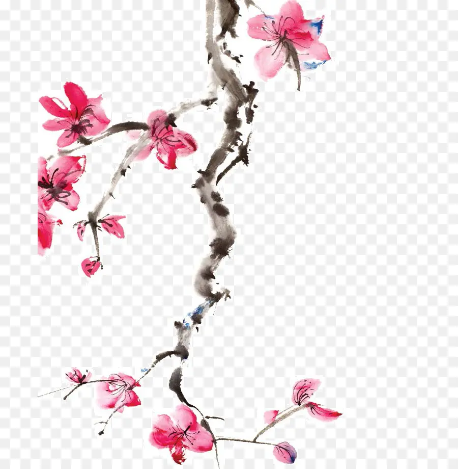 Japón，Flor PNG