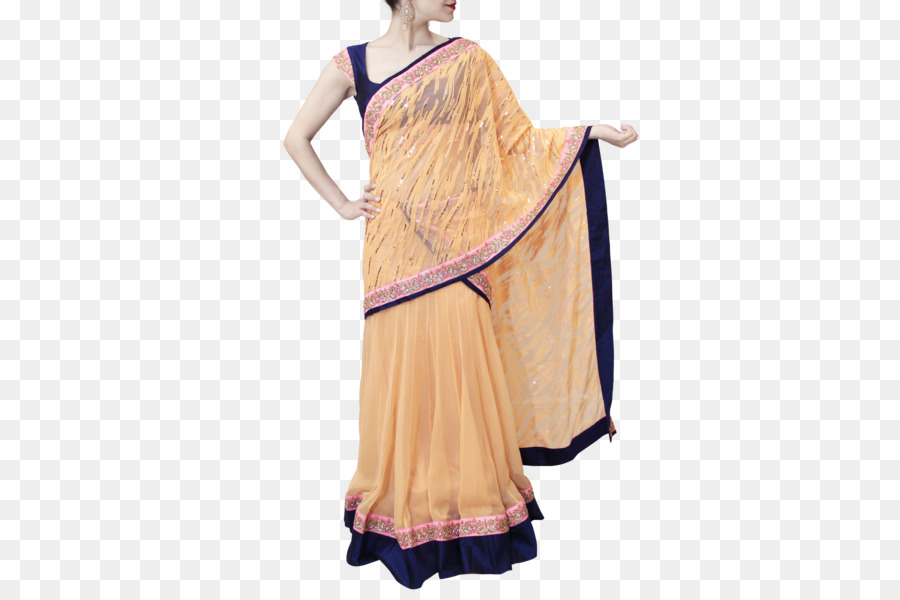 Vestido Tradicional，Sari PNG