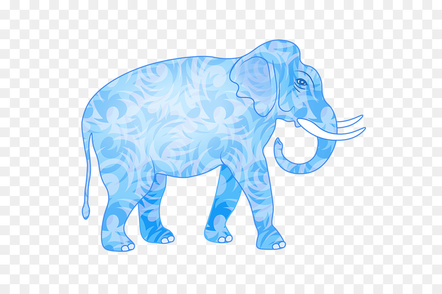 Elefante Indio，El Elefante Africano PNG