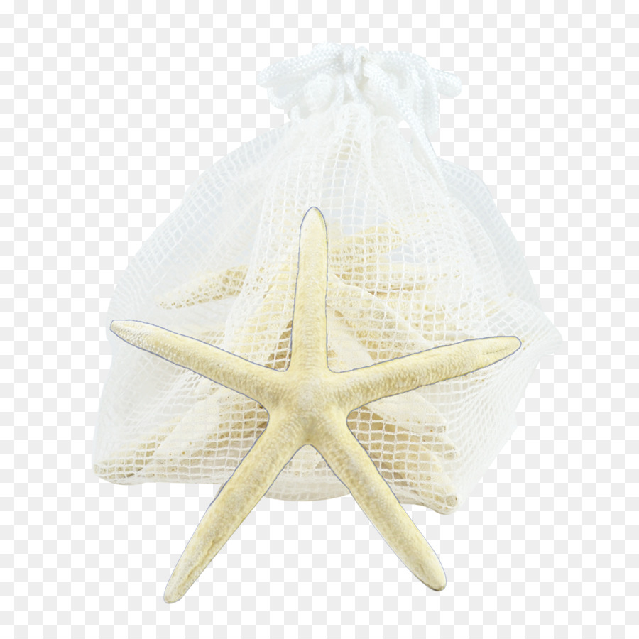 Estrella De Mar，Beige PNG