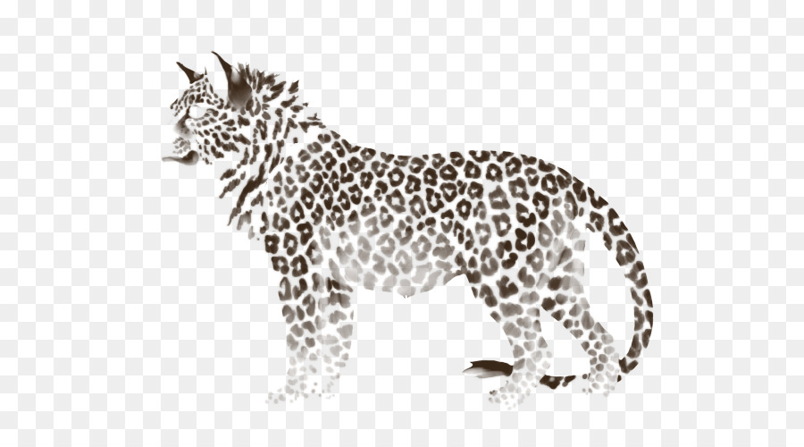 Bigotes，Leopardo PNG