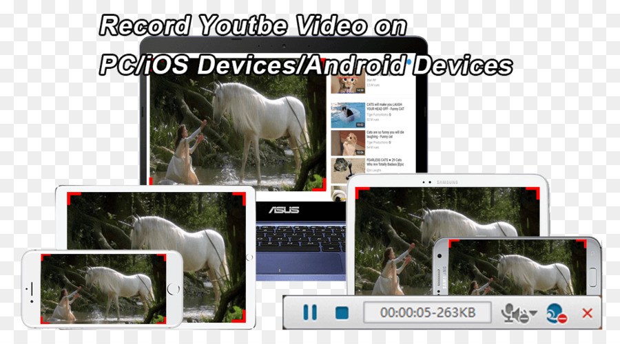 Video，Software De Edición De Video PNG