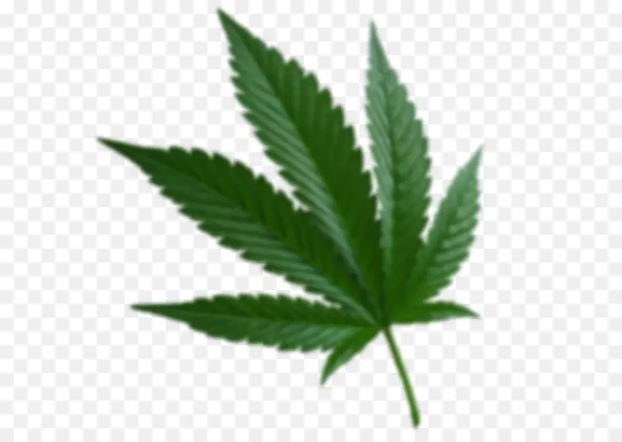 Cannabis Ruderalis，Cannabis Sativa PNG