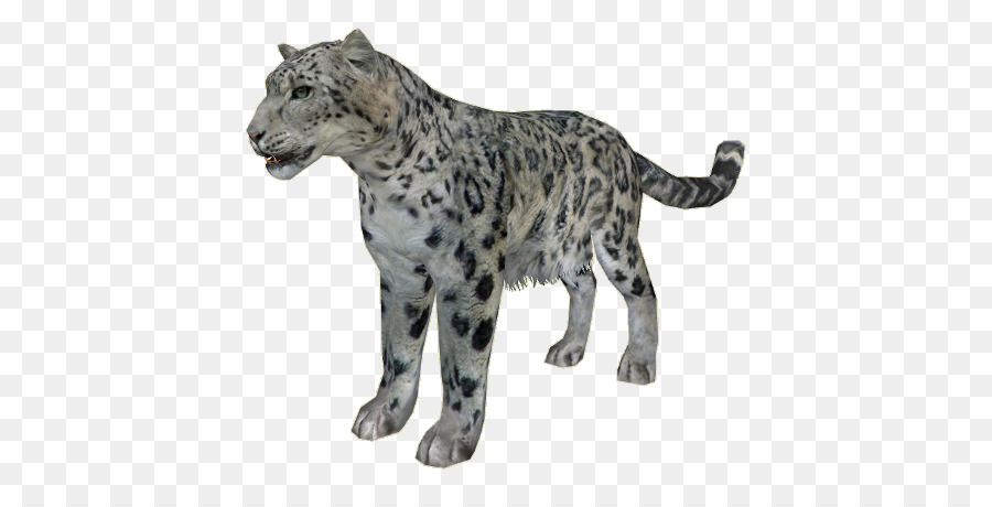 Leopardo，Manchas PNG